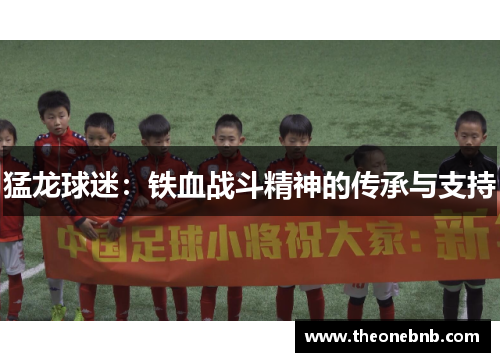 猛龙球迷：铁血战斗精神的传承与支持